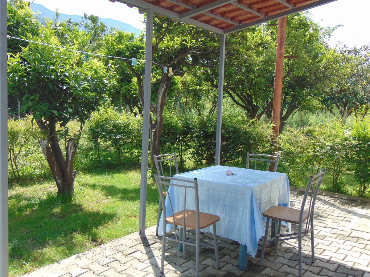Appartement Vila Oasis Radhime