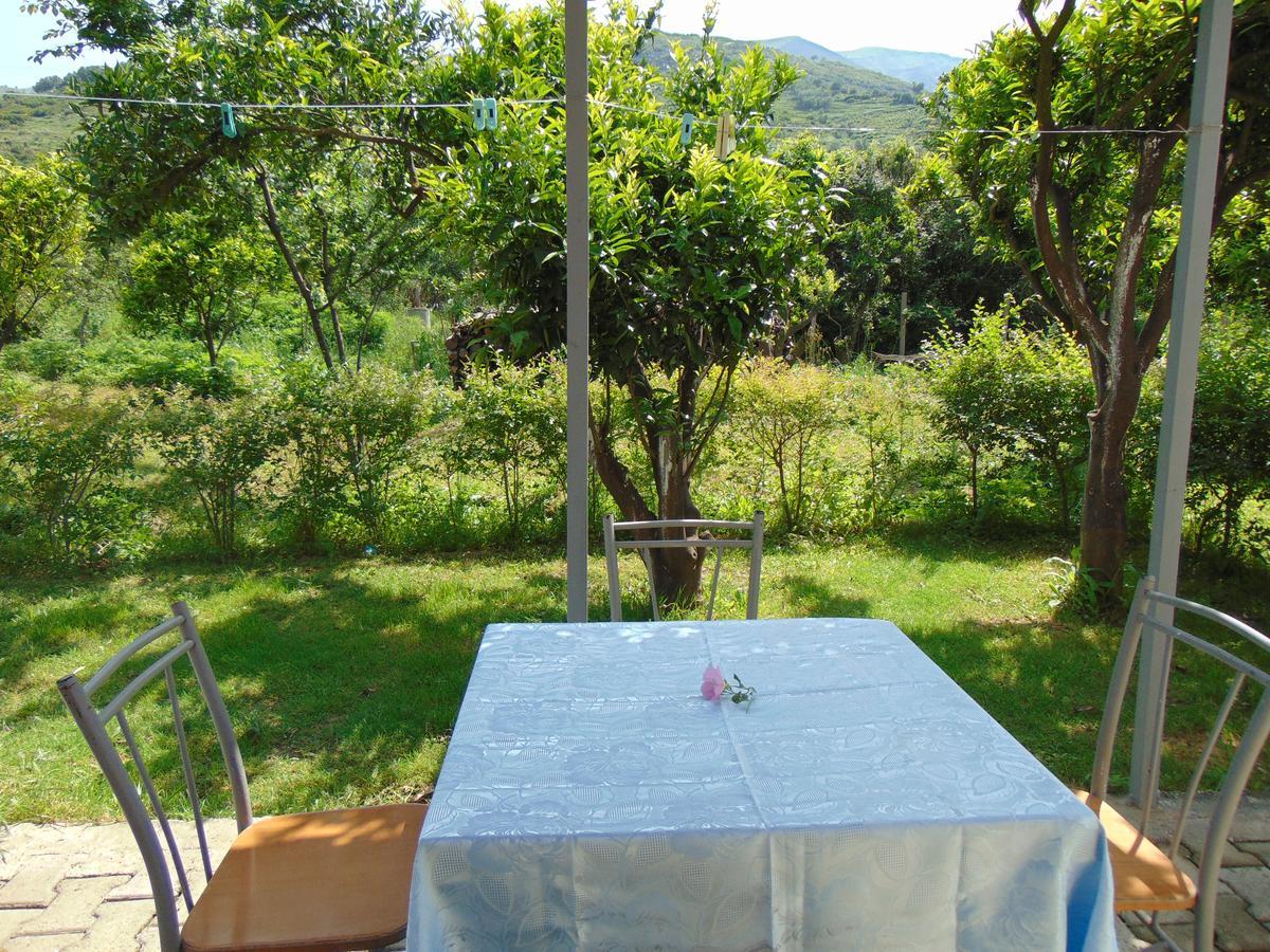 Vila Oasis Radhime Appartement