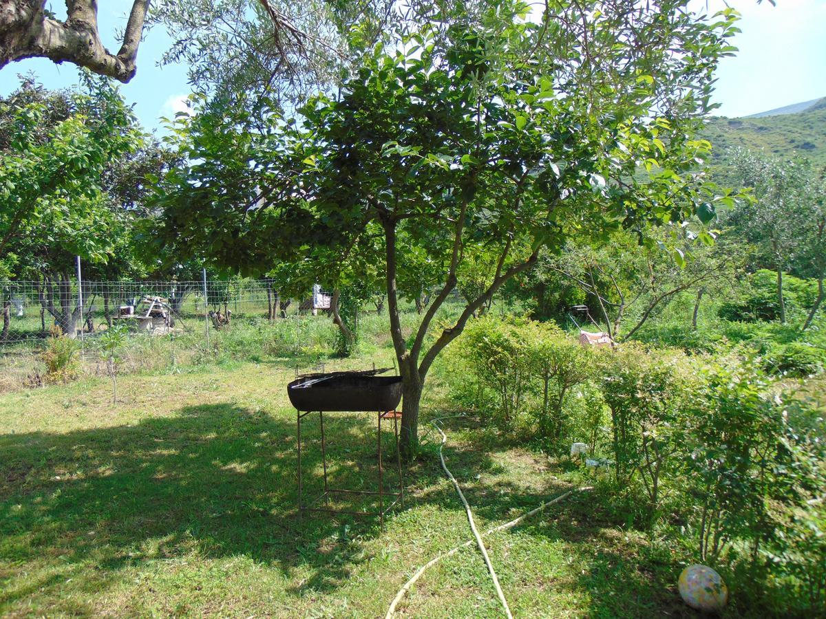 Appartement Vila Oasis Radhime